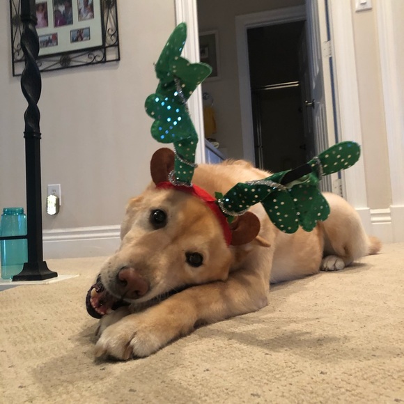 Meet the Posher, Joann - Picture 3 of 16